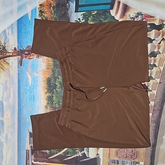 Joie Brown Pants Size Small Petite - Picture 7 of 8
